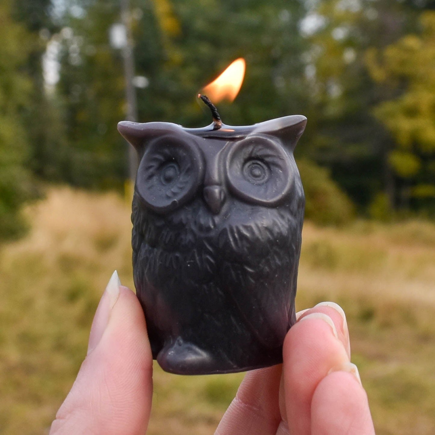 Black Beeswax Owl Candle